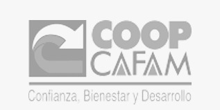 WhatsApp Image 2024-08-13 at 4.08.32 PM (2)